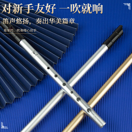 杉贝爱尔兰哨笛C调D调笛子儿童初学者高音直笛竖笛六孔乐器 标准款D调黑色+丰富