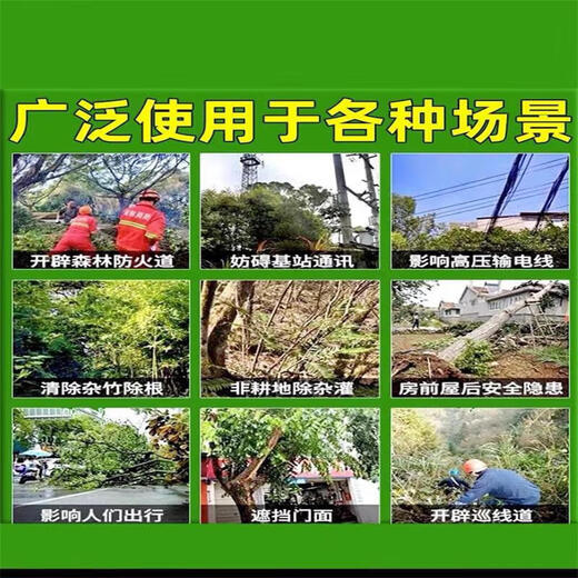 Bamboo-killing medicine for killing bamboo root and root rot. Powerful to kill bamboo king. Bamboo-killing medicine. Bamboo root and root rot powder. Three barrels. Buy two and get one free. Easy-to-use medicine for killing bamboo root.