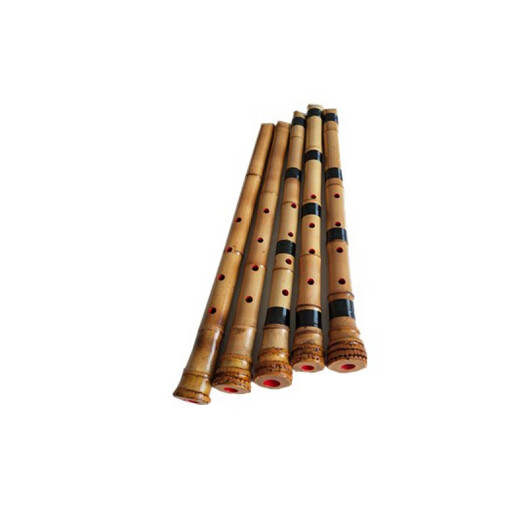 Jingyun Shahara Instruments de musique Shahara SHAHARA MATÉRIAUX DE MATÉRIAUX DE MATÉRIAUX À FIFFICATION À CINQ HAME AUTHAIS