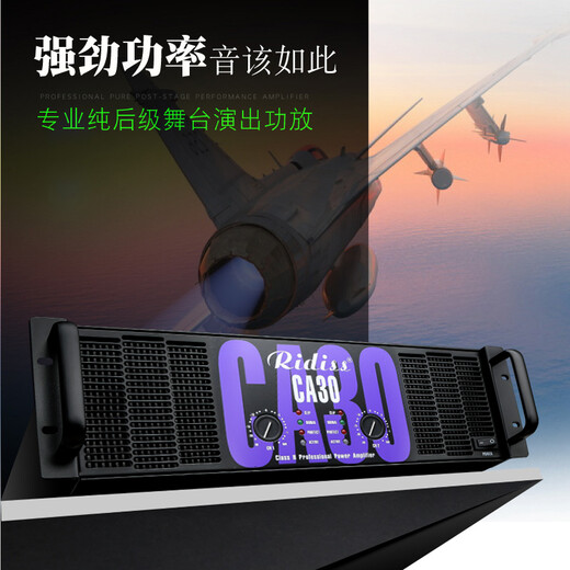 Ridiss 专业功放机CA系列双通道大功率专业音频舞台音响演出工程家用KTV纯后级功放 CA4  450W*2
