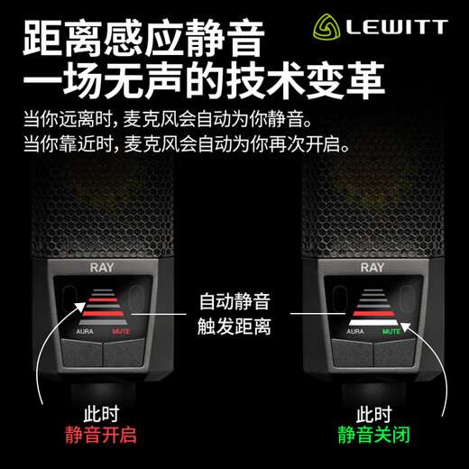 LEWITT RAY condenser microphone anchor live broadcast karaoke professional recording radio microphone sound card set equipment complete set LEWITT RAY + Aiken 2nanos set