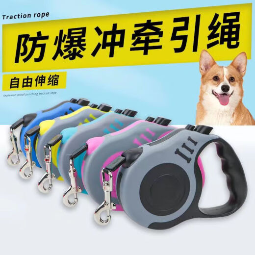 DELE dog leash automatic retractable dog leash small and medium-sized dog chain harness collar pet supplies Teddy classic blue 5-meter single retractable rope