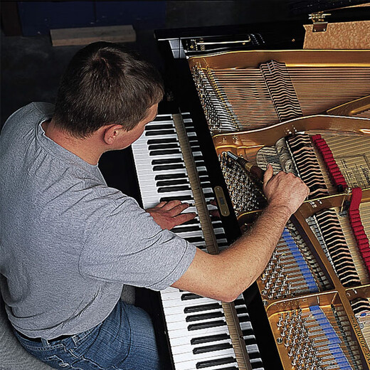 Bolansler piano omeler vertical piano Grand Piano Gradefing Home Machinery Machinerie importée allemand Piano G1W 120cm noir