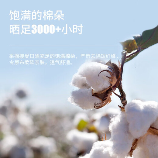 妈妈果（org.mama）婴儿尿布可水洗纯棉新生儿尿戒子尿片宝宝介子布全棉大尺寸a类 大码 10条装 （45*50cm）