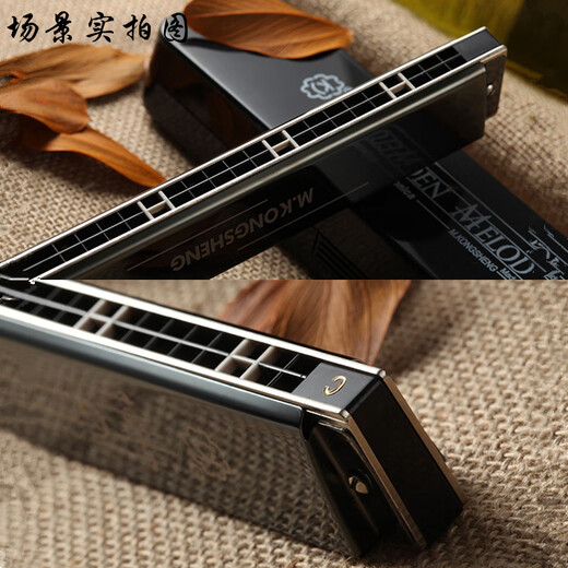 Hokong Sound Harmonic 24 Hokong Polyphonische #A/B/C/D/E/F/G Tunnel Harmonic für Anfänger professionelle Leistungsstufe #C Tunnel