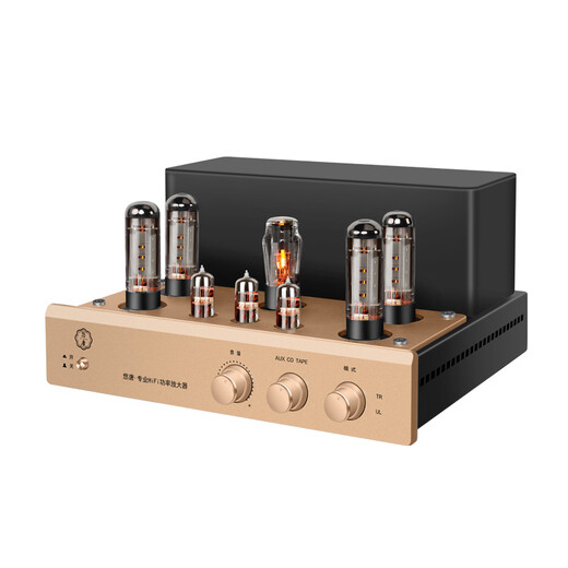 Youtang MK8700 Amplificador puro Amplificador Fiebre Grado Hifi Alta fidelidad Alta potencia