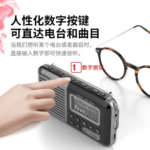 Panda (PANDA) S5 новое Bluetooth-радио для пожилых людей, многофункциональное портативное FM-радио для пожилых людей, плеер для пожилых людей, динамик для зарядной карты, оперный рассказчик, черный, отображение текстов песен / вставка U-диска TF-карты