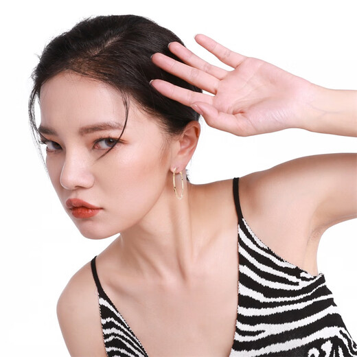 Qlady Rose Same Style Earrings Feminine High-end Large Earrings 2025 New Light Luxury Silver Needle Earrings Birthday Gift