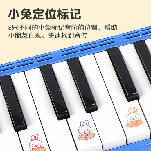 FEIFAN飞繁 口风琴37键小学生专用儿童成人专业演奏级吹管乐器 蓝色