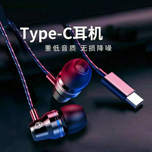 昊微 Type-C耳机入耳式有线适用oppo华为vivo小米手机安卓圆孔高音质k歌重低音带麦降噪耳塞 3.5mm接口【气质银】