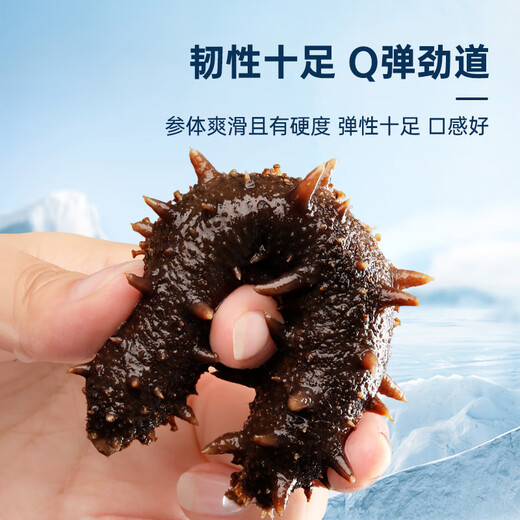 Fresh Jingcai Jingdong Fresh Private Brand Dalian Ready-to-Eat Sea Cucumber 1Jin Jin is equal to 0.5kg, 8-10 pieces, solid content exceeds 75%