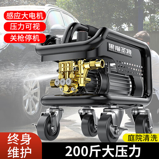 Black Cat Shengjiang high-pressure car wash machine household 220v high-pressure car wash water gun high-power car wash machine courtyard cleaning car wash artifact