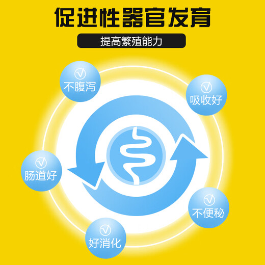 East China Zhengda 8% gilt premix nutrition comprehensively promotes development, early estrus, strong limbs and hooves without constipation 1 bag