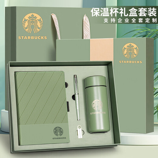 SSBA 笔记本本子礼盒定制可印logo会议记录本带U盘保温杯企业礼品伴手礼商务记事本套装 256-抹茶绿【100张】8号金盒+礼袋+烤漆金笔
