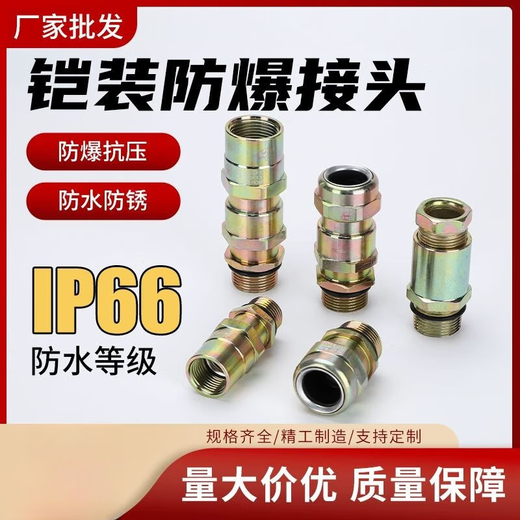承琉金属Q235碳钢EX铠装接管式双密封防爆格兰头填料函密封接头DN1520 G1/2DN15915
