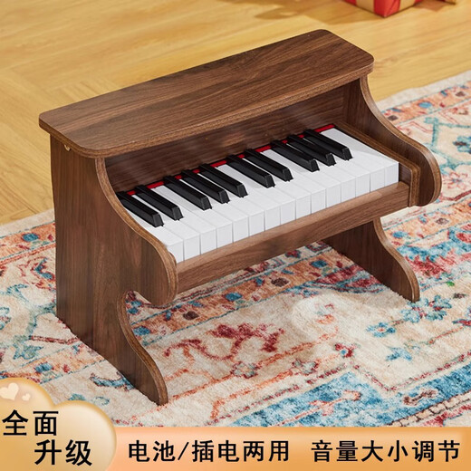 童雀六一儿童生日礼物 儿童木质小钢琴电子琴男女孩宝宝音乐早教玩具 25键棕色【木质电子钢琴】 送琴谱加琴贴