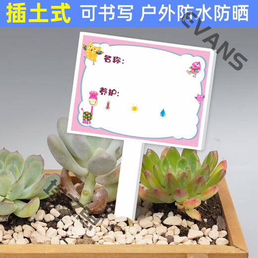 Xushansi Kindergarten Simulation Pot Brand Gardening Simulation Flower Pot Simulation Label Signage Succulent Care Brand DIY Handmade YHCD-17 10x16cm