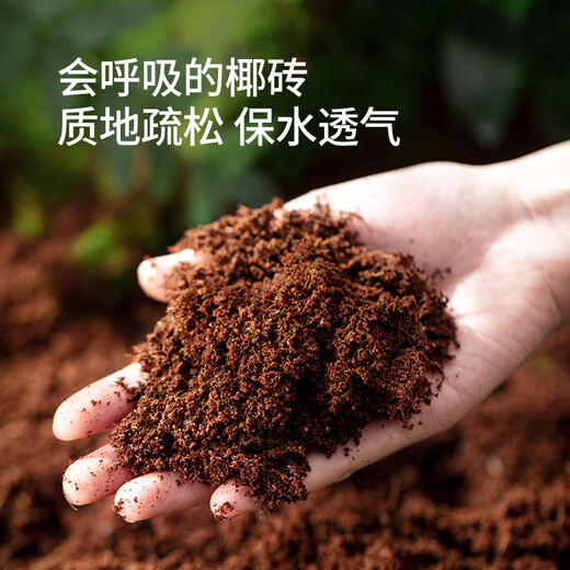 Stanley large coconut brick nutritious soil, coconut bran, universal flower soil, coconut shell vegetable cultivation, special desalted coconut soil