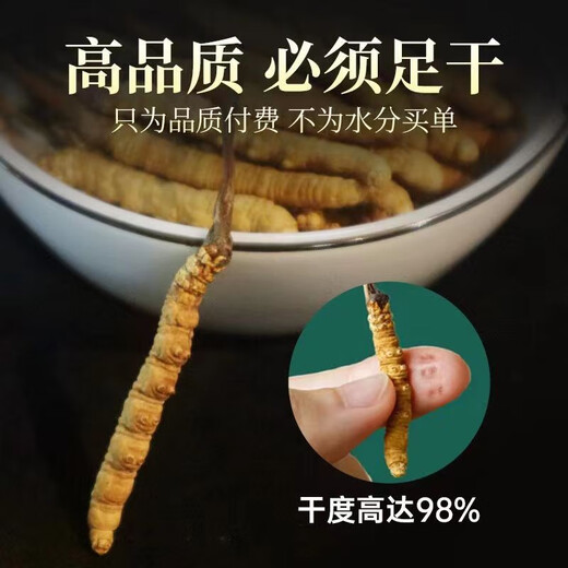 Authentische tibetische Gegend naqu großes gebrochenes Gras frisch cordyceps sinensis gebrochenes gras cordycep