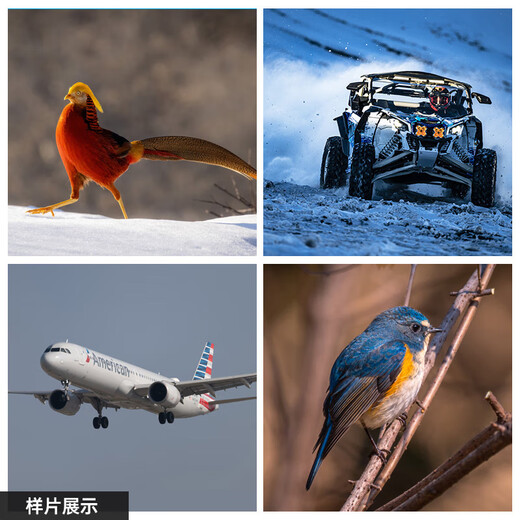 Sigma 500mm F5.6 DG DN OS full-frame mirrorless super telephoto zoom lens for shooting birds and lotus Sony FE mount