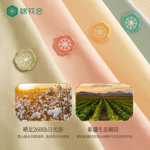 棉花会（cotton center）孕妇枕头护腰侧睡枕H型多功能托腹抱枕靠枕孕期睡觉专用 眉沁竹绿