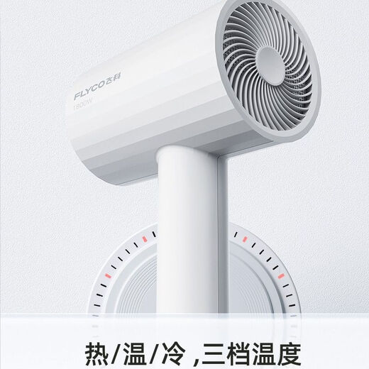 飞科电吹风机家用大功率吹风机冷热分恒温发廊用1800W吹风筒 飞科旗下博瑞速干绿色FH6296(1628) 吹风机标配