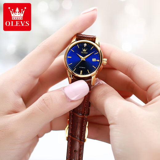 Oleeis Olevs Schweiz zertifiziert Top Ten berühmten Uhren für Männer vollautomatische mechanische Uhren leuchtende wasserdichte Herrenuhren für den Freund Brown Leder Blue Face - Upgrade Collector's Version 6629 Frauen [lebenslange Garantie]