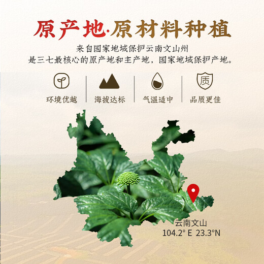 金七【三七粉】金七牌全株鲜三七精萃粉超细粉固体饮料送爸妈健康好礼 3盒