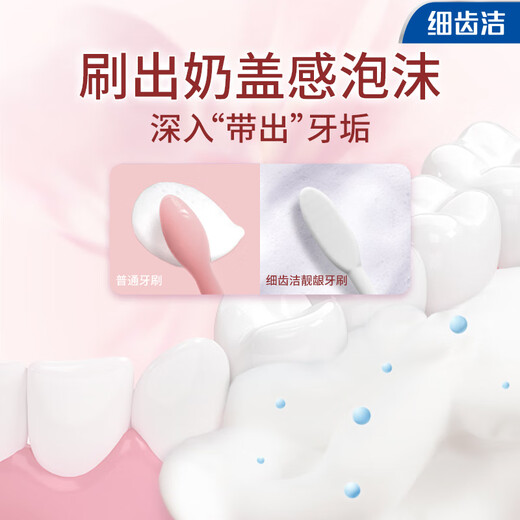 狮王（Lion）细齿洁靓龈牙刷软毛细毛护理包胶刷柄握感舒适家庭4支装京东自营