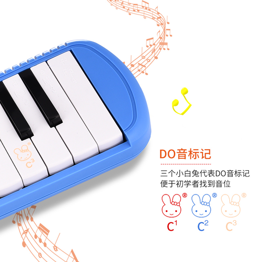 Chimei Free Engraving DHS Mouth Organ 37 Key Beginner Instrument for Classroom Teaching for Primary and Secondary School Students 37 Key Pink + Full Set of Gifts