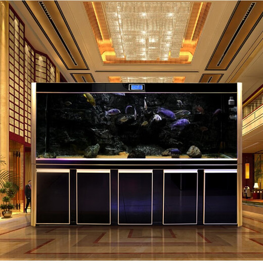 Changjiong Großer ökologischer Fischtank Aquarium Wohnzimmer Boden Filter wasserfreies ultra-weißer Glasdrachenfischtank 1,5 2 Meter lang 3 Meter breit 68