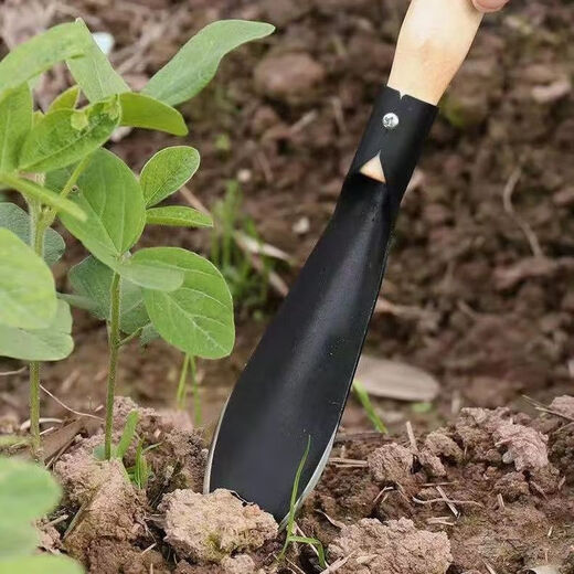 Garden artifact shovel, manganese steel digging soil, flower planting and wild vegetable shovel, flower cultivation tool, flower weeding, agricultural vegetable planting shovel, sharp shovel and flat shovel each