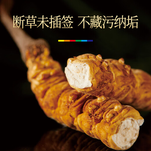 晶草 冬虫夏草断虫草 大断草10克 中老年人营养品礼物实惠自用装