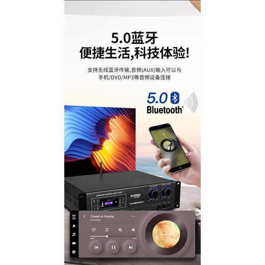 Yamaha high-power Yamaha card package amplifier anti-howling karaoke home KTV conference dance studio set VA-9000