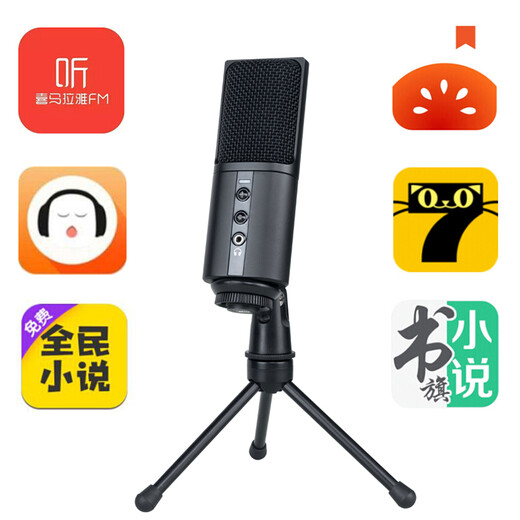 Burren Bell BL520X-USB condenser microphone audiobook special recording equipment professional novel Himalayan mobile phone microphone recitation dubbing broadcast set anchor recording studio grade mobile phone with desktop stand + mobile phone cable set