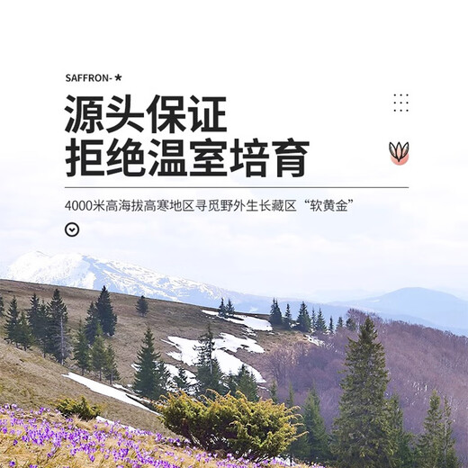 藏红花正品西藏泡水喝红花中药材特级养生茶精选长丝藏红花礼盒装 精选长丝藏红花礼盒