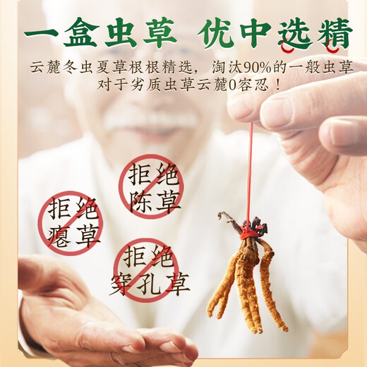 色季拉冬虫夏草断草 大断节虫草 10克装1瓶自吃实惠推荐