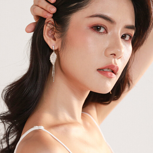 Qlady women's tassel earrings women's fashionable long style 925 silver needle light luxury earrings birthday gift for girlfriend