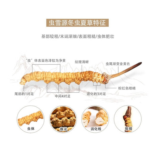 Luzhangtang auténtico Cordyceps de verano Cordyceps Cordyceps Authentic Big Broken Grass Dry Goods Compre 10 piezas Obtenga 1 pieza en el Tíbet auténtico Auténtico Naqu Premium Big Broken Grass 1 Gram Pack (1 gramo de paquete)