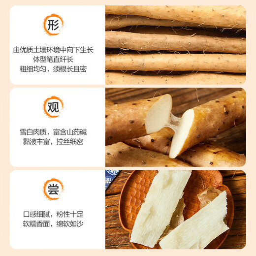 Jingxiansheng Henan Jiaozuo Wen County Loess Iron Bar Yam Net Weight 5Jin Jin is equal to 0.5kg Single root 40cm+ Vegetables Straight from the source