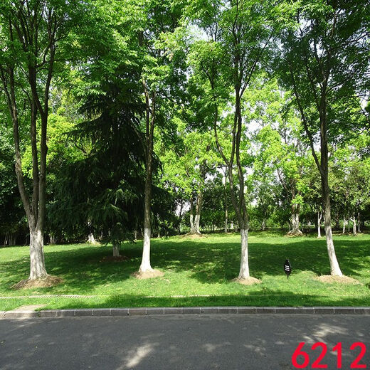 
Yunmao Internet celebrity anchor live broadcast background cloth Douyin Kuaishou video joke 3d three-dimensional background wall night scenery outdoor scene 6187 1.5 meters wide 2 meters high