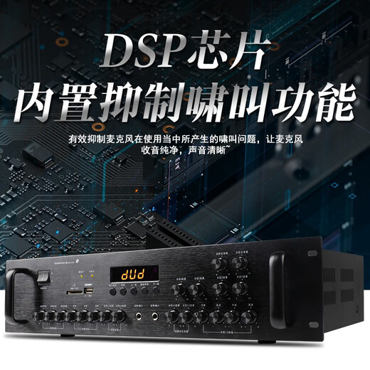 先科（SAST） 会议室KTV卡包功放机 家用大功率功放机蓝牙家庭定阻功放机5.1家庭影院音频放大器 AV-318(1200W)+8通道4分区