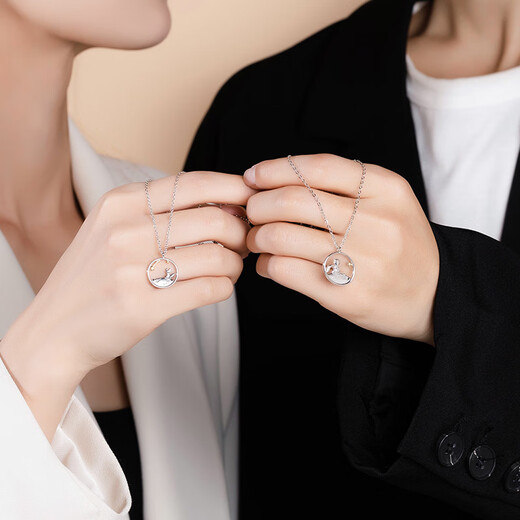 VIGG Little Prince and Fox Couple Necklaces Pair of Silver Pendants for Men and Women Birthday Chinese Valentine's Day Gifts for Boyfriend and Girlfriend Pair of Couple Necklaces (Everlasting Flower Gift Box)