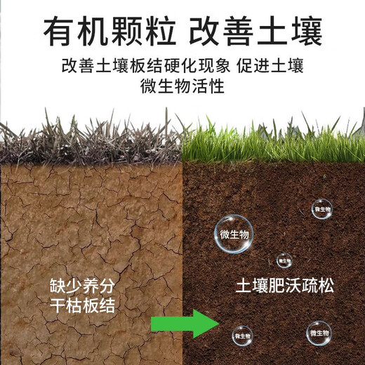 Special fertilizer for Podocarpus, organic fertilizer, compound fertilizer, base fertilizer, top-dressing fertilizer, water-soluble chlorophyll on the leaves for strong growth