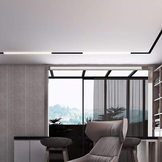 NGIA 导轨灯酒店客厅家用无主灯照明磁吸灯20宽轨道48v磁吸轨道灯暗装LED线条 白光6000K 12W泛光灯300*23*45