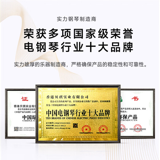 贝琪（Betsy）B365电钢琴重锤88键初学者入门成人专业学习抽屉式电子钢琴 B365重锤键-木纹白 高配（琴+学琴礼包+双人琴凳）