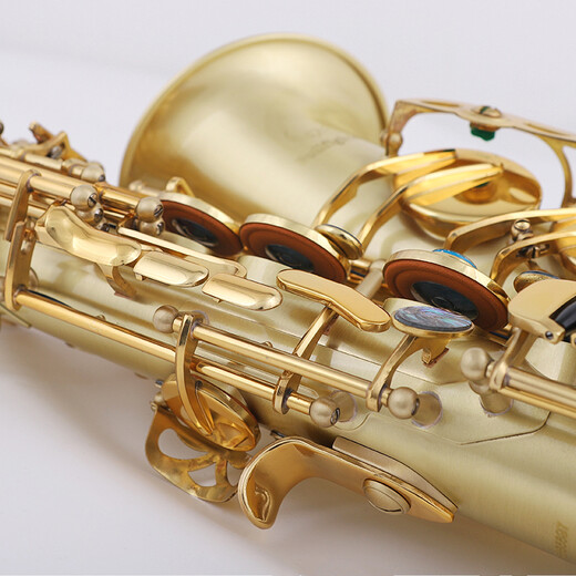 
Bullfighter Saxophone instruments mid-E flat double-string band professional performance universal grade exam