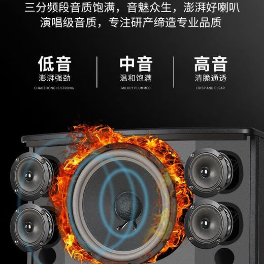 爱国者家庭KTV音响套装全套点歌机卡拉OK一体机家用专业K歌重低音 美声功放KTV全套+12寸双炮+投影 双十寸10单元音响