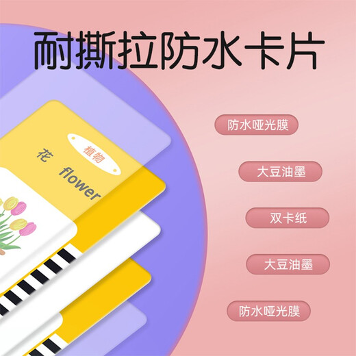 Cindybaby Children's's Carte Early Education Machine Bilingual Learning Machine à maternelle chinoise et anglaise CARTES Toy English Toy 3-6 ans