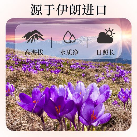雷允上【官方】西红花 藏红花 番红花礼盒 养悦心藏红花5g礼盒0.5gx10瓶